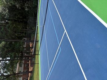 Pickle ball court
